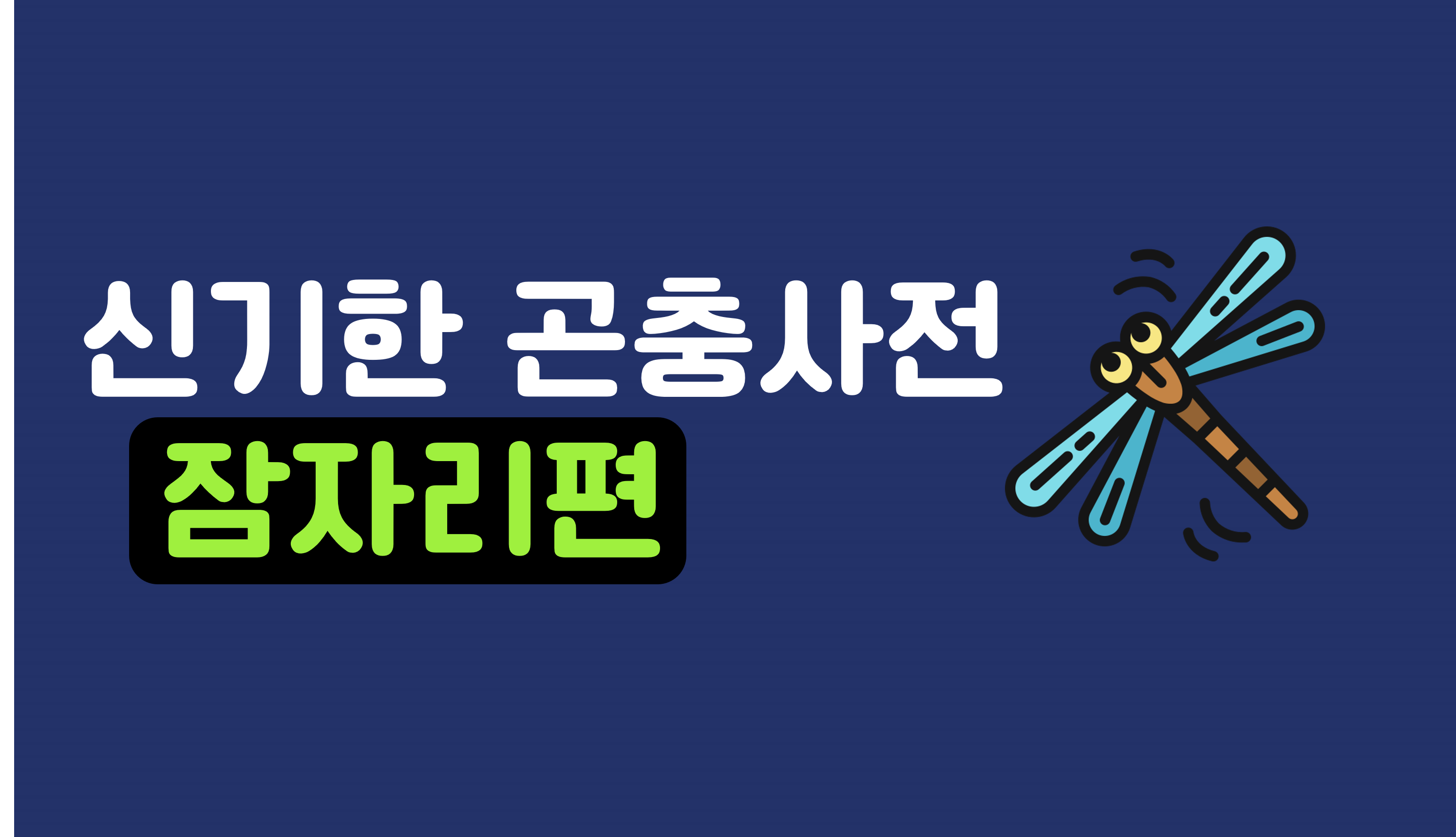 신기한 곤충 세상 | 잠자리 | 아이스크림 홈런