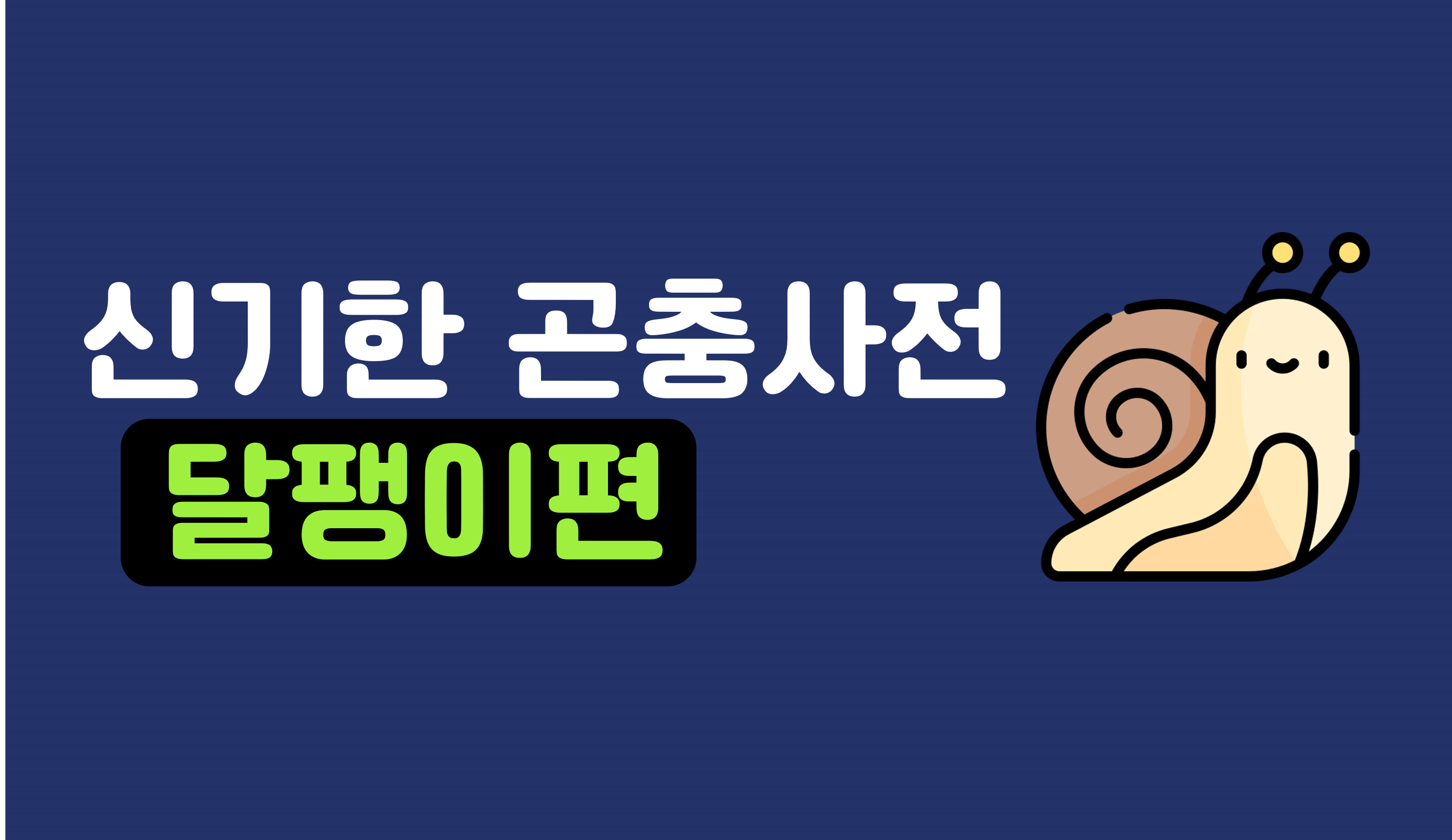 신기한 곤충 세상 | 달팽이 | 아이스크림 홈런